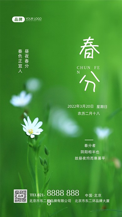 春分节气二十四节气摄影图海报