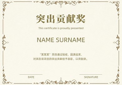 简约突出贡献奖证书