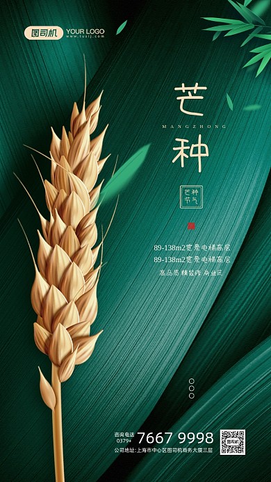 芒种节气绿色麦穗宣传手机海报