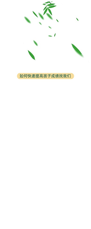 绿色中国风暑假辅导班易拉宝