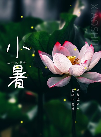 简约中国传统二十四节气小暑海报