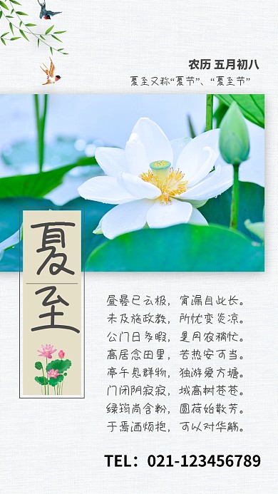 创意时尚节气夏至海报