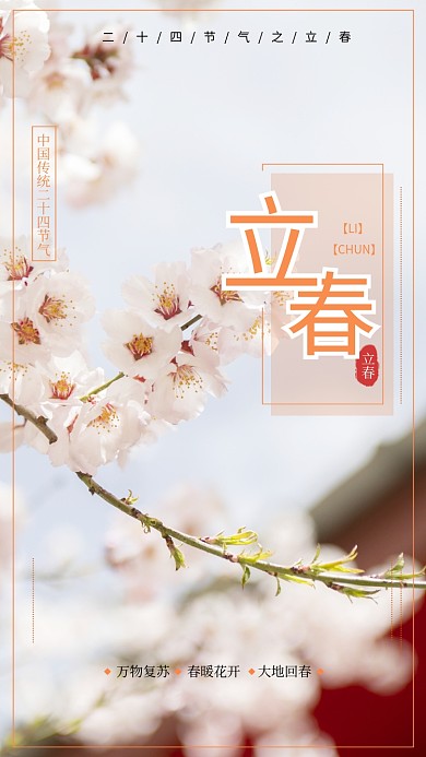 立春春暖花开粉色摄影风格海报