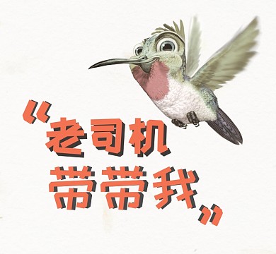 老司机带带我小鸟朋友圈封面