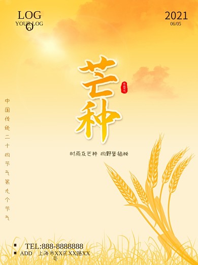 芒种 丰收 麦田 芒种节气 24节气