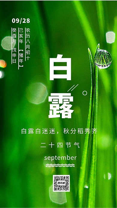 白露绿色露珠清新手机海报
