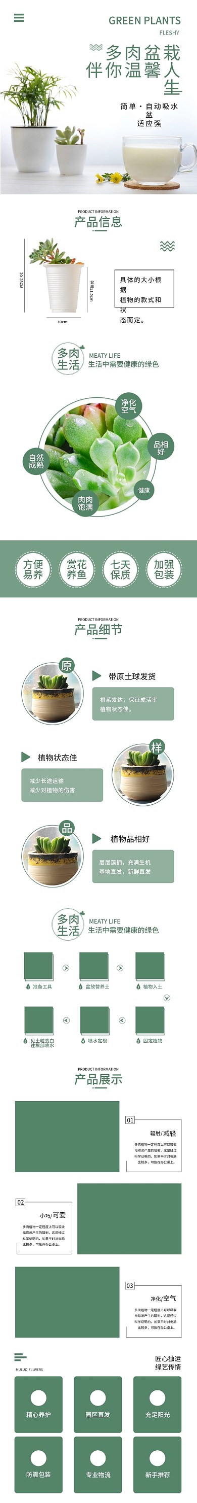 小清新绿色多肉绿植园艺盆栽电商淘宝详情页