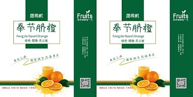 新鲜橙子绿色手提袋设计