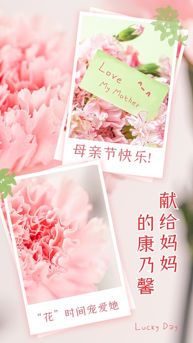 母亲节快乐康乃馨贺卡竖版配图