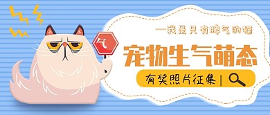 宠物生气照片征集