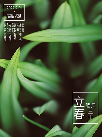 绿色二十四气节立春海报