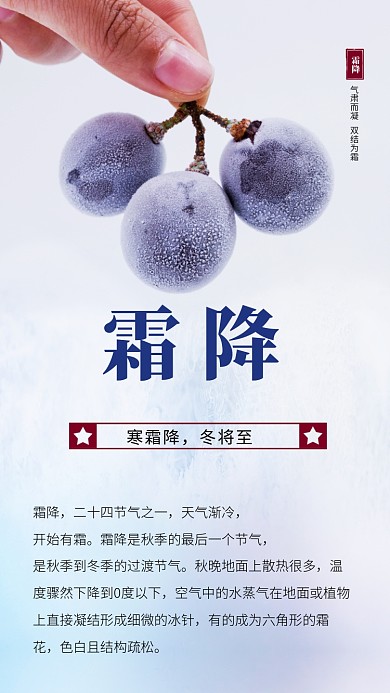 霜降节气简约文章配图