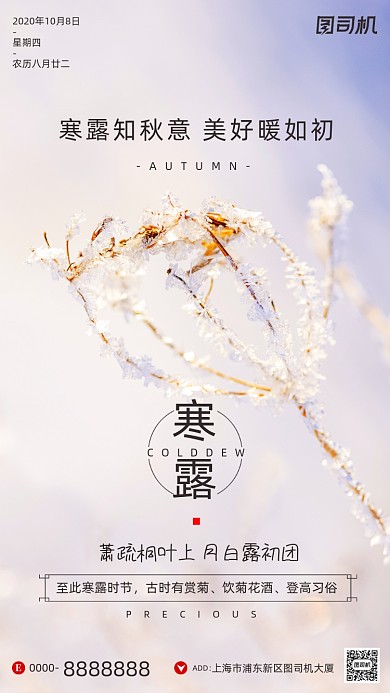 寒露节气文艺摄影图冰霜手机海报