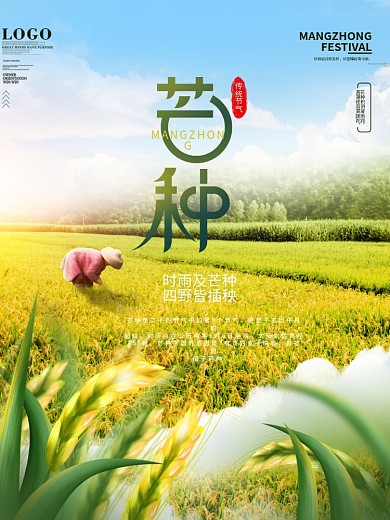 简约风二十四节气摄影图芒种节气宣传海报