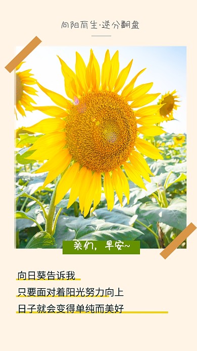 简约时尚早安励志文章配图