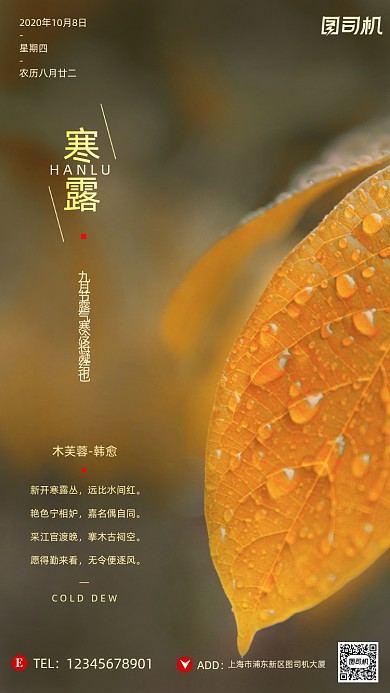寒露节气摄影图文艺清新露珠手机海报
