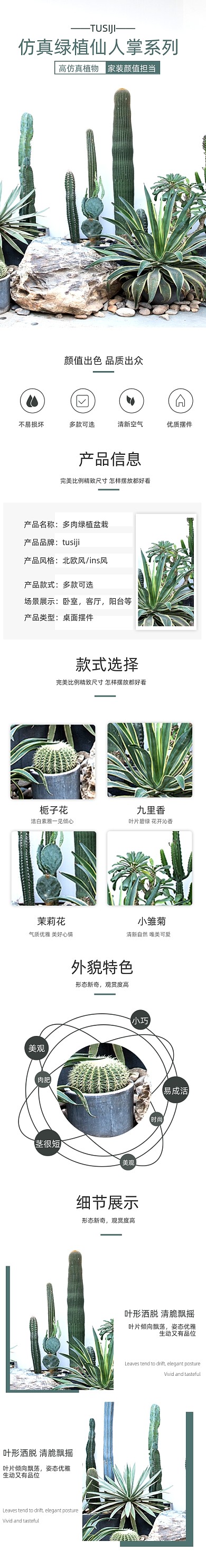 仙人掌仿真植物绿植盆栽植物详情页