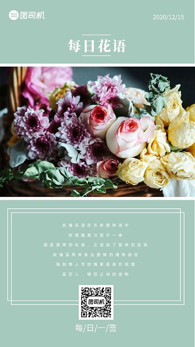 纯色风格玫瑰花语手机海报