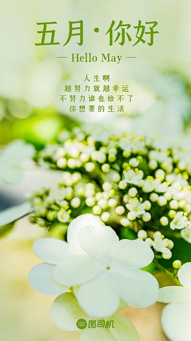 五月你好清新实景日签手机海报