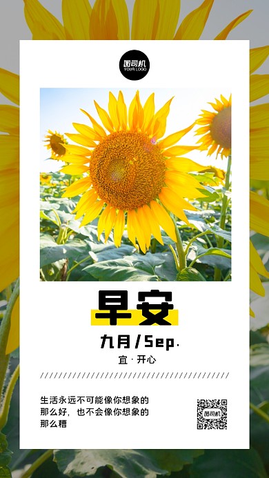 黄色清新摄影图日签手机海报