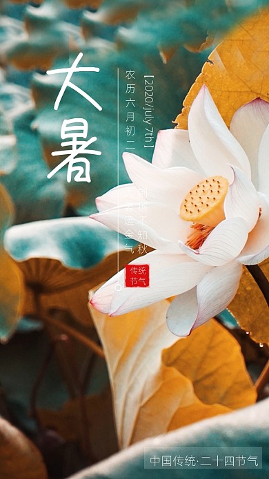 大气简约节气荷花简约海报