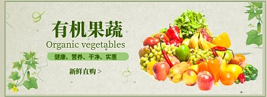 简约有机果蔬促销banner