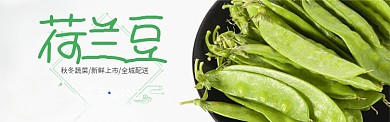 绿色水果蔬菜荷兰豆促销banner