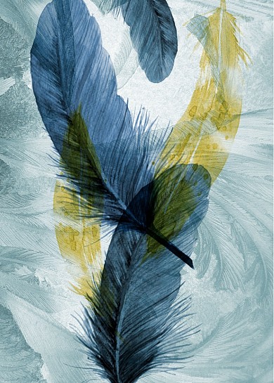 现代简约羽毛玄关画走廊玄关装饰画