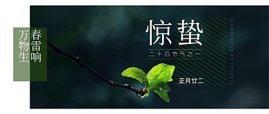 惊蛰节气简约大气发芽摄影图公众号首图