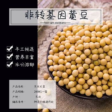 黄豆食品淘宝主图直通车模板