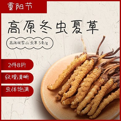 重阳节主图滋补保健品电商主图