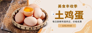 丰收季农家农产品土鸡蛋促销海报