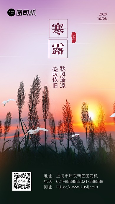 寒露节气海报简约大气