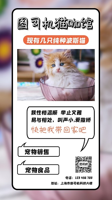 猫咖馆波斯猫宣传手机海报