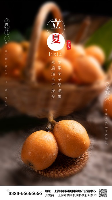 立夏枇杷时令水果展示海报