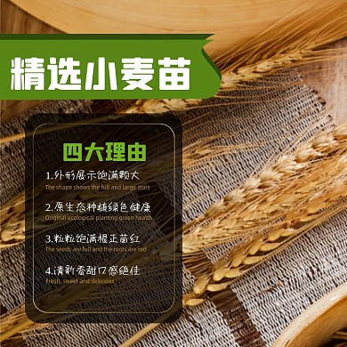 小麦食品淘宝主图直通车模板