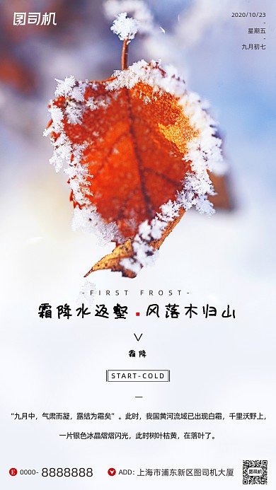 霜降节气冰霜黄叶摄影图手机海报