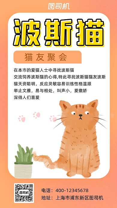 波斯猫猫友聚会可爱卡通风手机海报