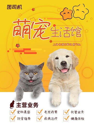 宠物黄色可爱店铺海报