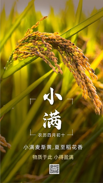 小满时节简约摄影节气手机海报