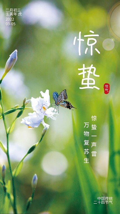二十四节气之惊蛰海报