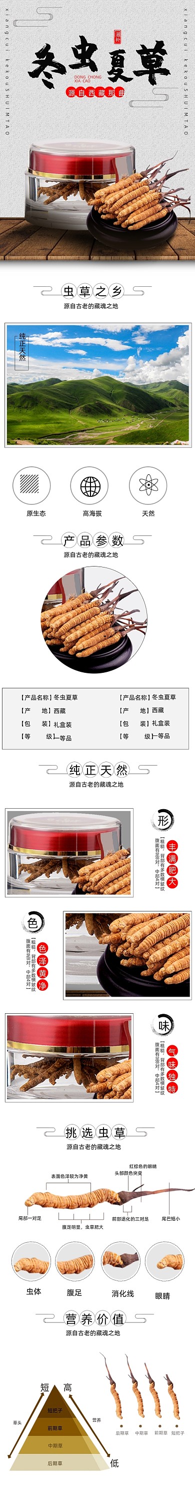 冬虫夏草中药保健详情页