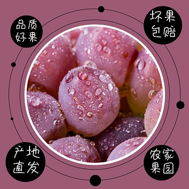 葡萄水果食品淘宝主图直通车模板