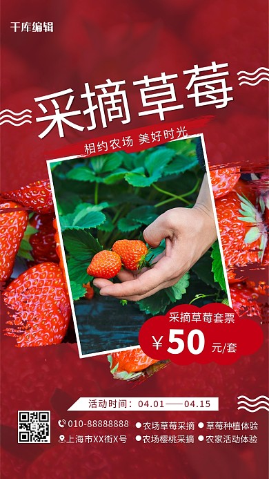 采摘草莓农家乐红色简约海报