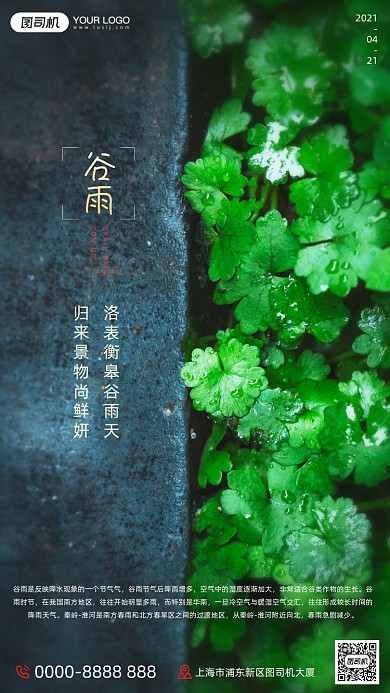 谷雨节气文艺清新摄影图手机海报