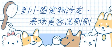 宠物美容宣传首图