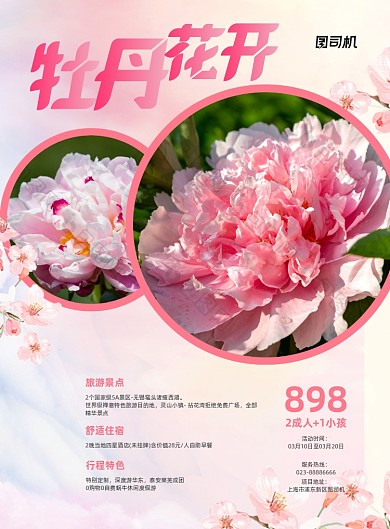 牡丹花开粉色花园印刷海报