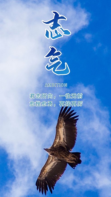 志气老鹰蓝天白云天空鸟