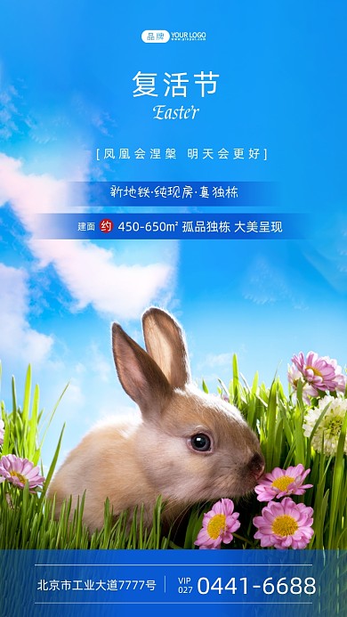 复活节可爱的小兔子摄影图海报