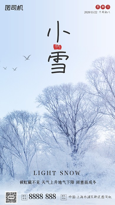 小雪节气摄影图清新简约手机海报